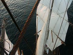 080508_Roald_Amundsen 318